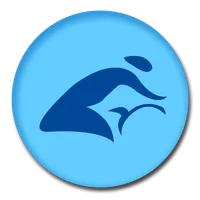 Spintensity icon