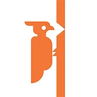 KK Woodpecker icon