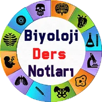 Biyoloji Ders Notları icon