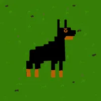 Beta the Shepherd Dog icon