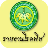 KU-NETTA (online) icon