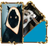 Find The Cat icon