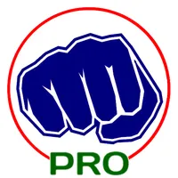 Virtual Boxing Trainer Pro icon