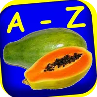 Kusaal - English Dictionary icon