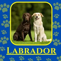 Labrador Puppy & Lab Images icon