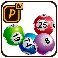 Bingo en familia icon
