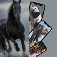 خلفيات حيوانات icon