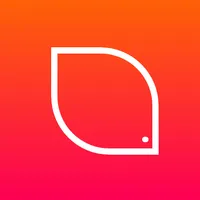 Patterns icon
