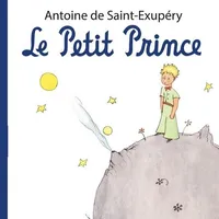 Le Petit Prince icon