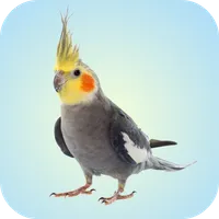 Cockatiel Sounds icon