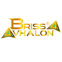 Brissa Avhalon Radio icon