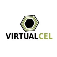 Virtualceltae icon
