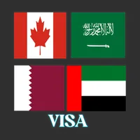 Visa apply - visa check icon