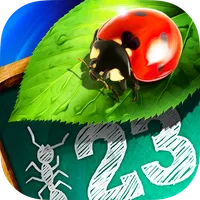 Bugs and Numbers icon