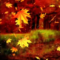 Beautiful Autumn Wallpaper icon