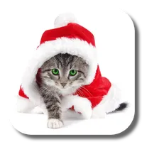 Christmas Cat Live Wallpaper icon