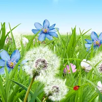 Summer Flowers Wallpaper icon