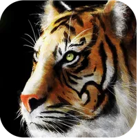 Big Cats Live Wallpapers icon