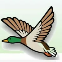 Domicilios el pato icon