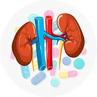 Antibióticos e Hemodiálise icon