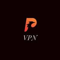 P VPN - Safer and Fast VPN icon