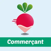 Lokalité Pro icon