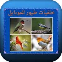 خلفيات طيور للموبايل icon