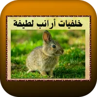 خلفيات أرانب لطيفة icon