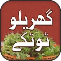 Gharelu Totkay Home Remedies icon