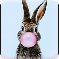 Kelinci Paling imut Wallpaper icon
