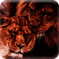 singa penyayang wallpaper epic icon
