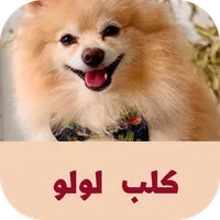 كلب لولو icon