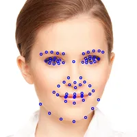 LiveFacialFeatures icon