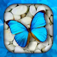 Butterfly Wallpaper Live HD/3D icon