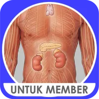 M3 Kedokteran : Endokrin Metab icon