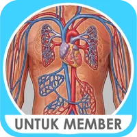 M3 Kedokteran : Sistem Kardiov icon