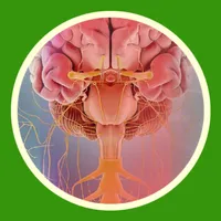 M3 Kedokteran: Sistem Saraf icon