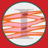 M3 Kesmas: Ilmu Dasar Histolog icon