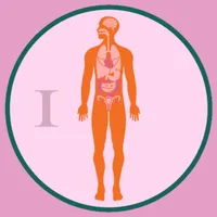 M3 Kebidanan: Ilmu Dasar Fisio icon