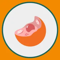 M3 TLM: Ilmu Dasar Biologi icon
