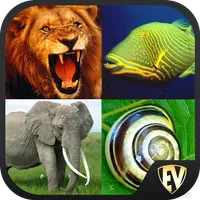 Animal Encyclopedia Offline icon