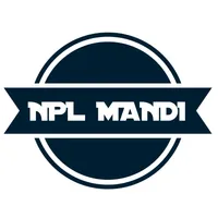 NPL Mandi icon