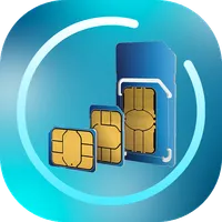 SIM & Phone Details icon