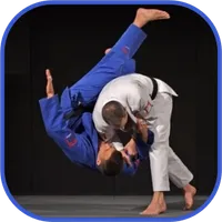 Judo in brief icon