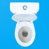 Toilet Flushing & Fart Sounds icon