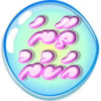 Thaana Akuru icon
