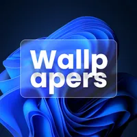 Wallpapers - 4K & HD Wallpaper icon