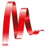 Master Limo icon