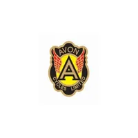 Avon Sales icon