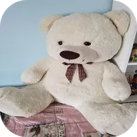 Teddy bear wallpaper icon